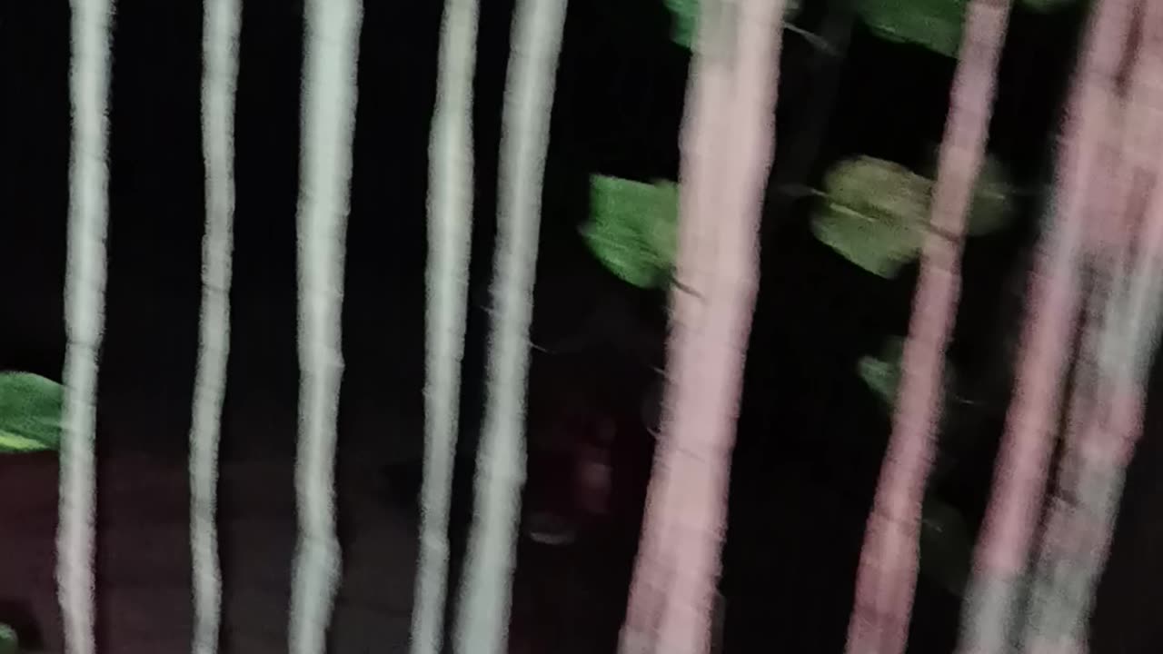 Horror show