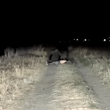 Nahual Skin-Walkers Sighted in Mexico, Truth or Montage? Nahual Cambiapieles Mexico