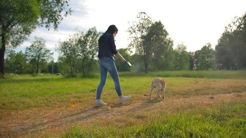 Wide steadicam shot of female with her dog in the park