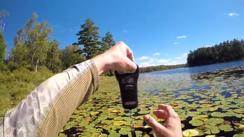 A Relaxing Day Of Frog Bassin'-15