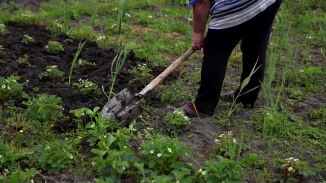 Ukrainians rebuild their devastated businesses