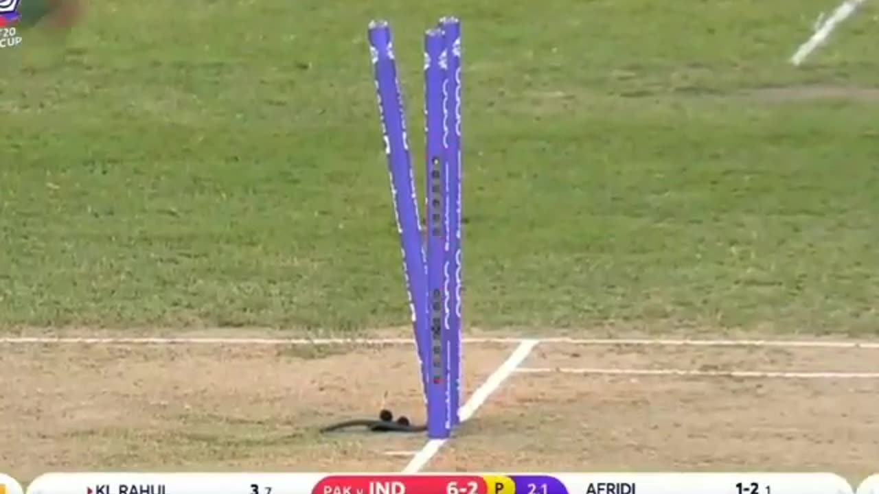 Shaheen Afridi on a fire