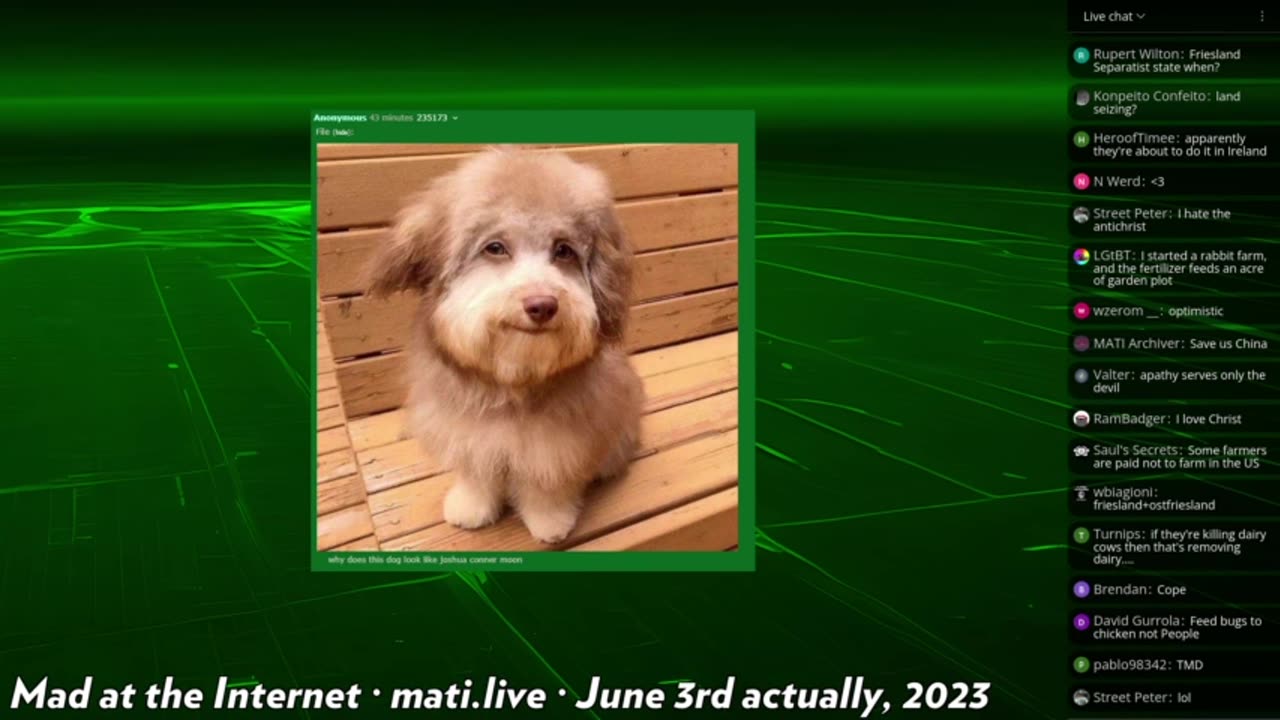 Mad at the Internet (June 2nd, 2023)