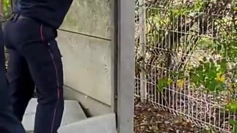 rescue kittens and be kind to all animals
