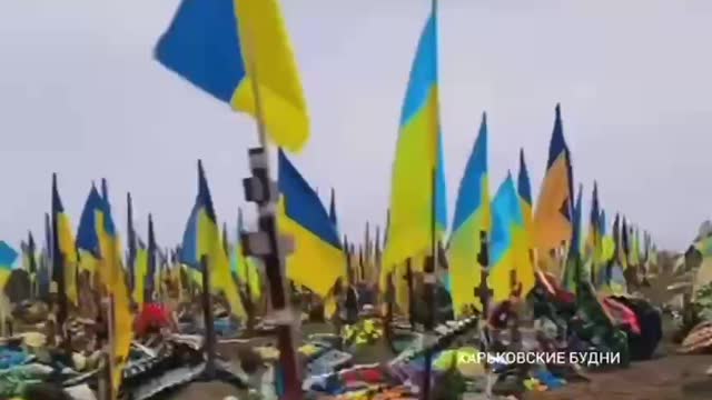 New military cemetery in Kharkov. There are no losses.