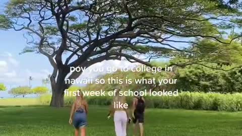 pov you go to college in hawaii so this is what your first week of school looked.like