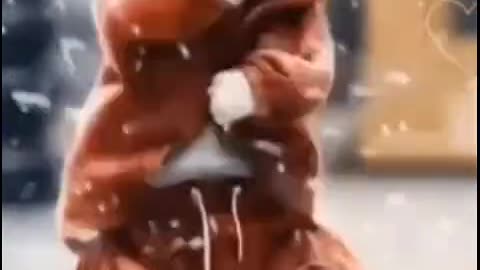 Funny cats 🐈 😻 🐈‍⬛ 😄 😆 🤣 🐈