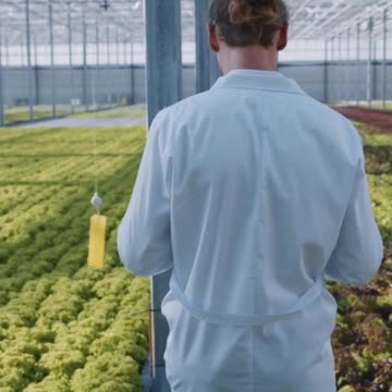 Exploring Sustainable Agriculture: Regenerating Soil Health For Future Generations