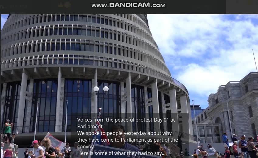 New Zealand anti-vaccine mandate PROTESTORS interviewed in Wellington