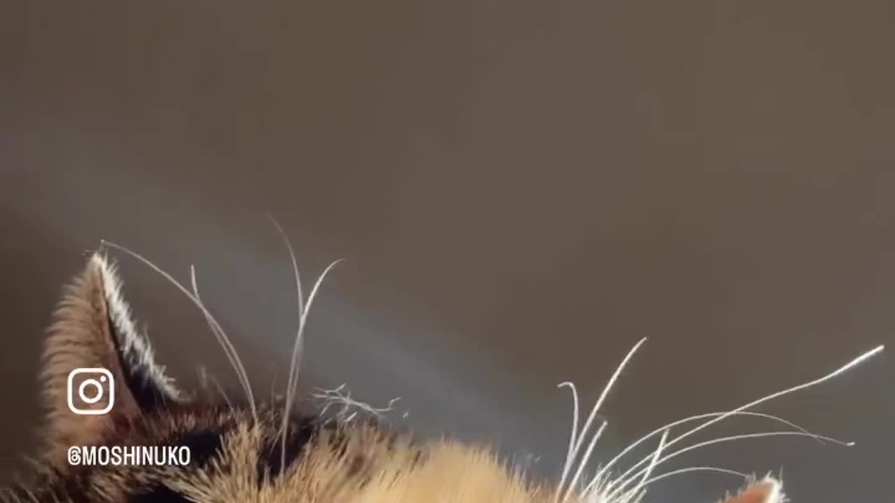A dance like that from that angle
