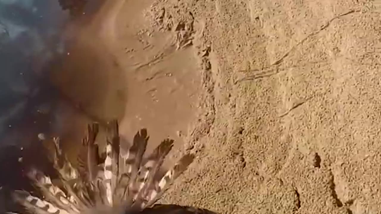 He saved an eagle 🥺❤️ #viral #motivation #inspiration #love