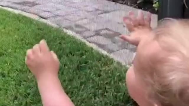 Toddler Catches Lizard But Throws It And Screams As Mother Shouts Worriedly