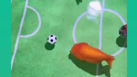 Fish playing football ⚽