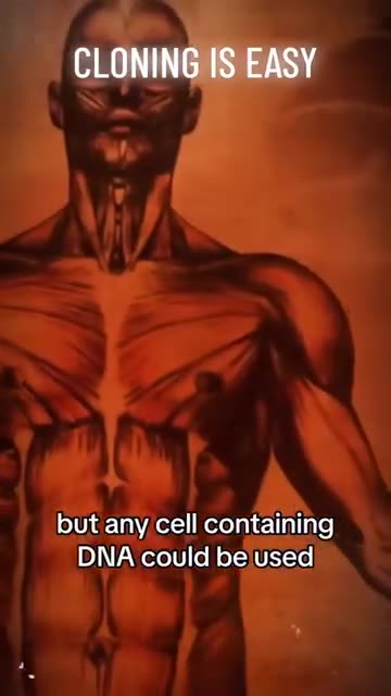 Is Human Cloning really this Easy?