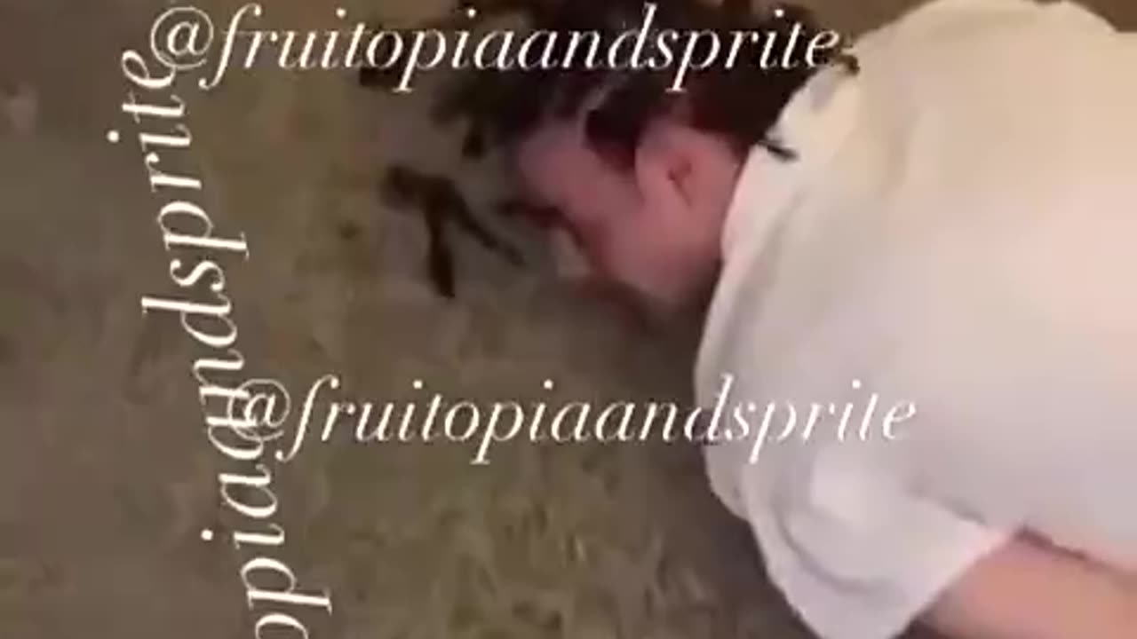 WTF