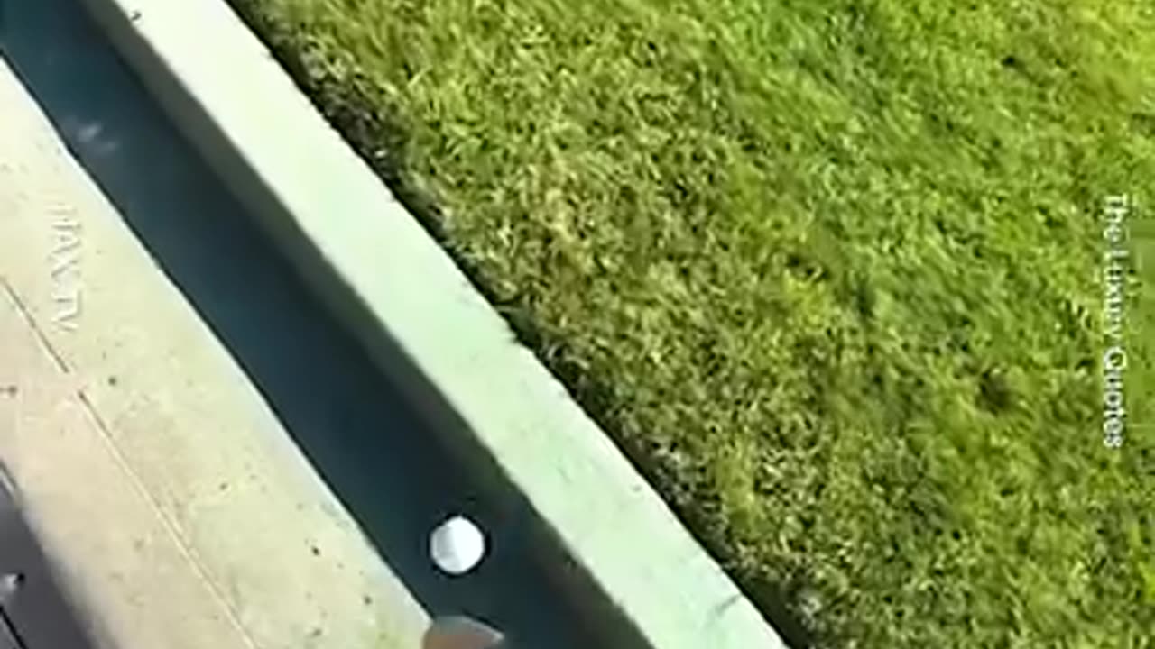 1 In A Trillion Moment In Sports
