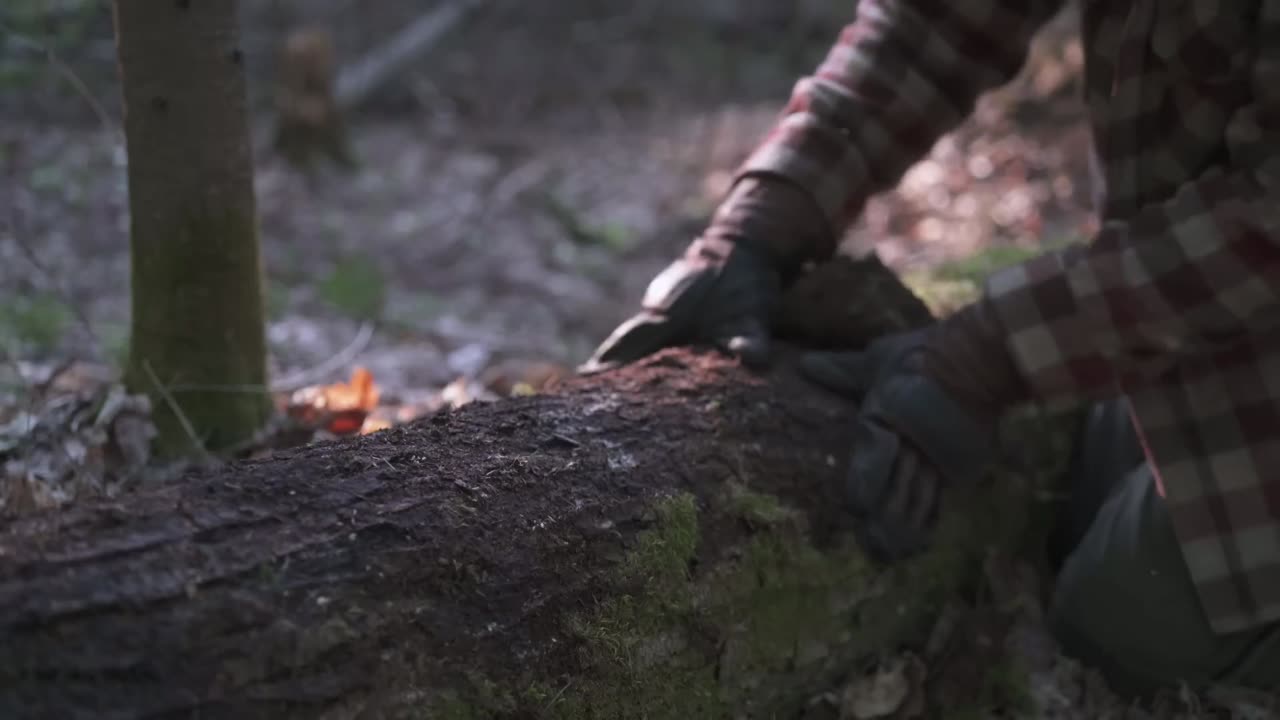 Sleeping in a "Bear Den" survival shelter with Fireplace inside | Solo bushcraft camp out