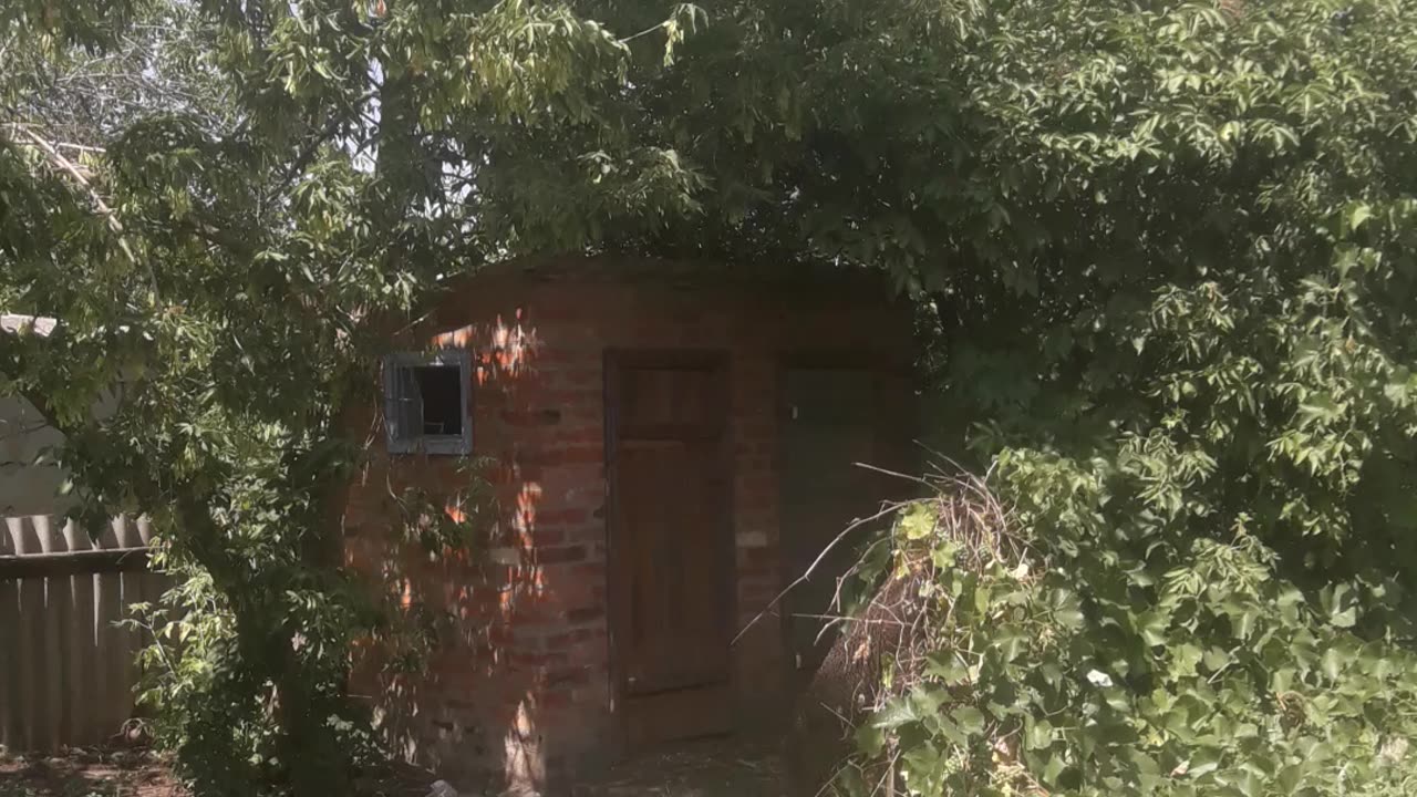 Rustic shower and toilet