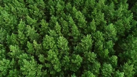 Lauren3veMemes Say it with me…