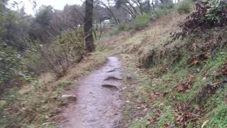 Hiking American River rain