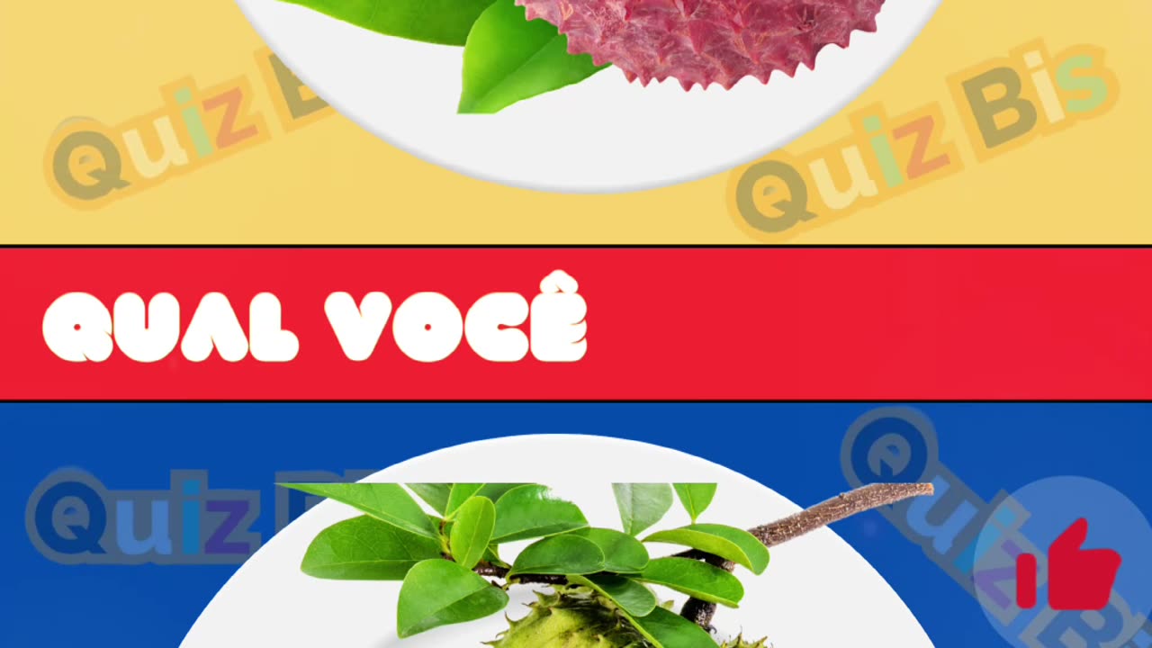 05- Quiz de Frutas #shorts_video #QuizDeFrutas