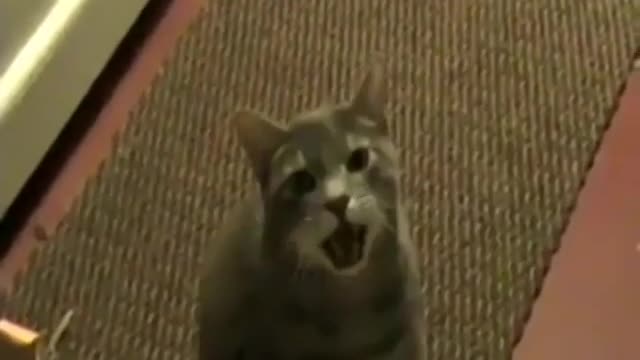 😂