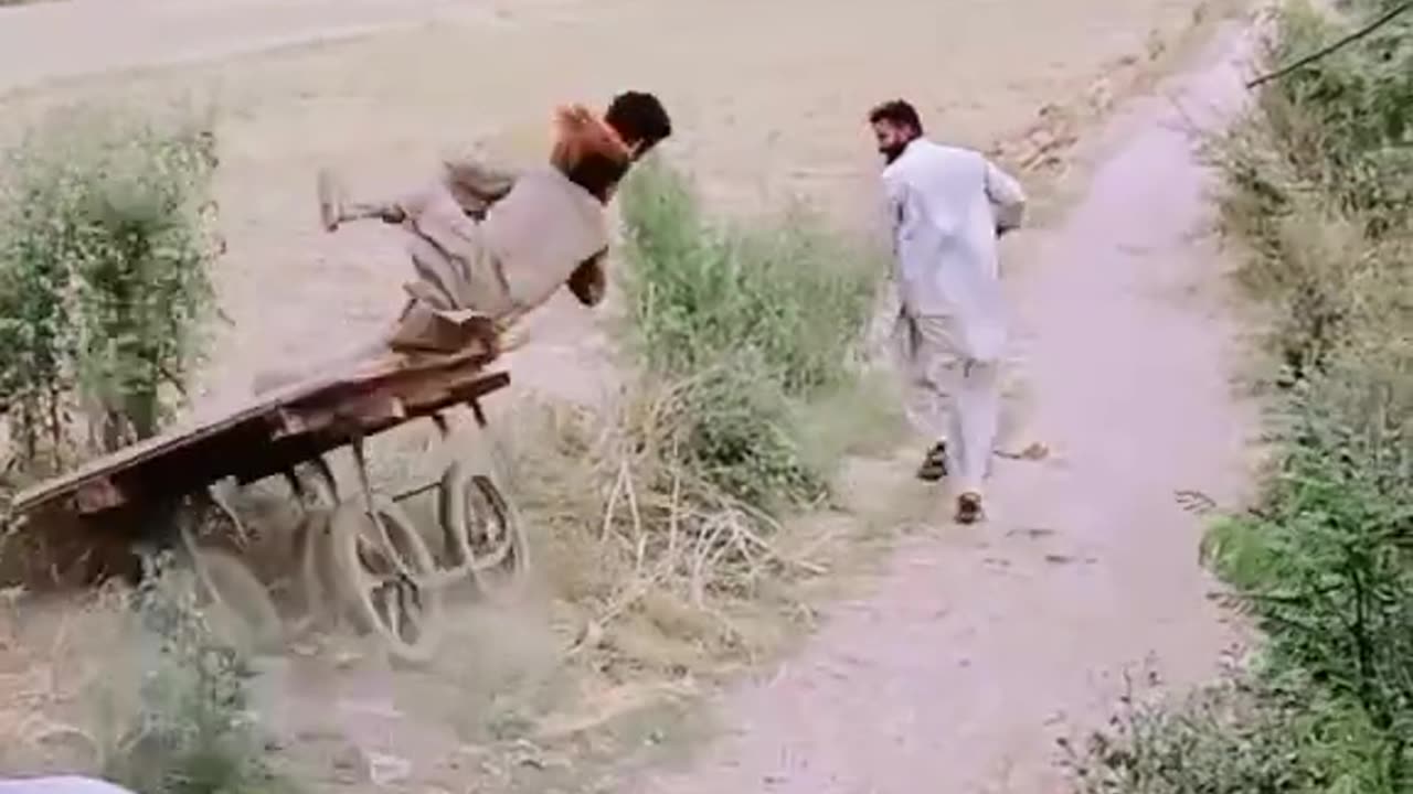 Pakistani Funny Video