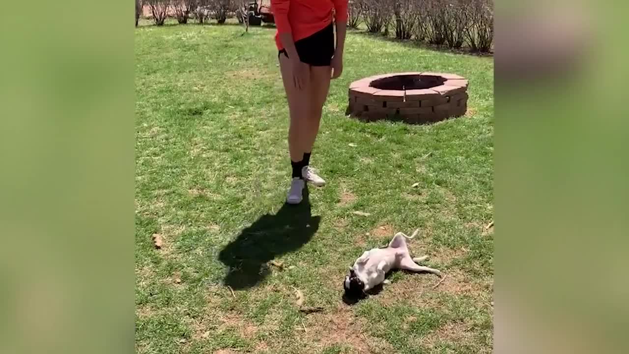😂BAD DAY_ Better Watch This - Try Not To Laugh🤣😂🤣😂 Funny Video