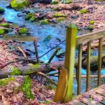 FOREST BRIDGE OVER A RIVER