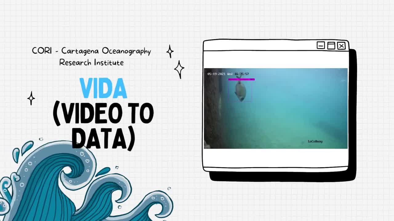 Proyecto ViDa (Video to Data)