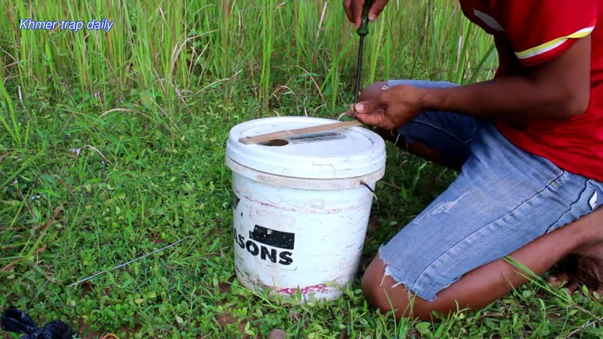 How to set trap for animals using a bucket