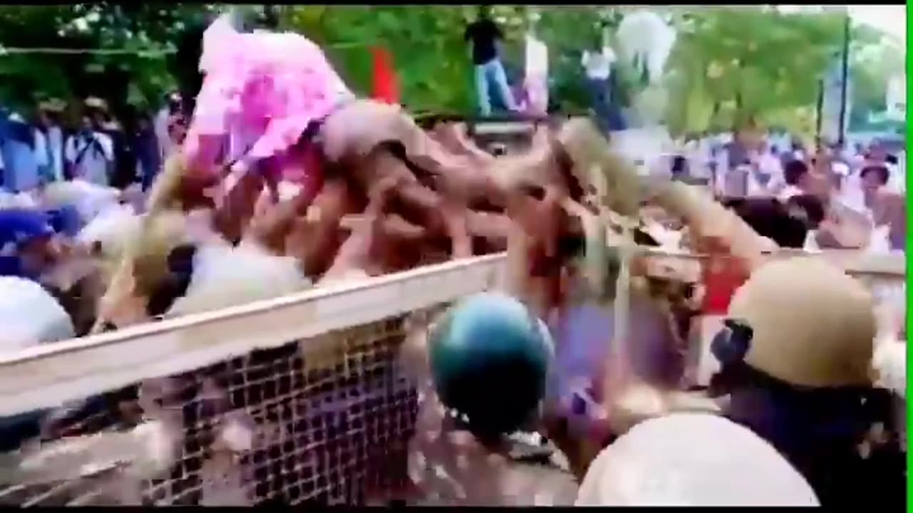 Funny short video