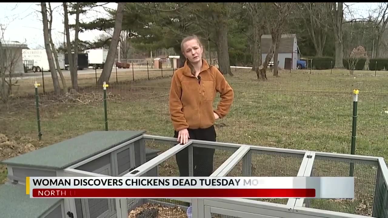 Ohio Disaster | Animals dropping dead over 10 miles away from explosion