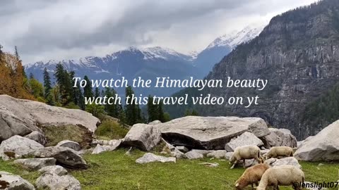 Deo Tibba | Travel Film | Lenslight07