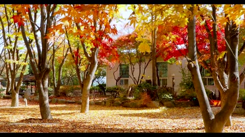Beautiful Home around the world _ Relaxation _ Free HD Videos