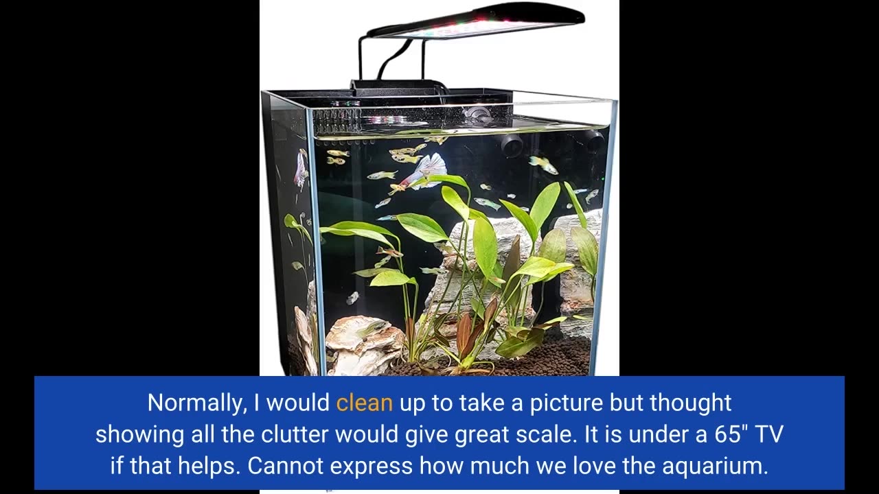 LIFEGARD Low Iron Ultra Clear Crystal Bookshelf #Aquarium-Overview