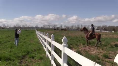 Horse riding video