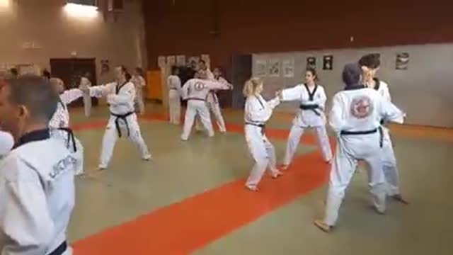 Taekwondo