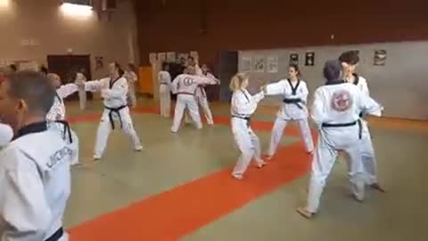 Taekwondo
