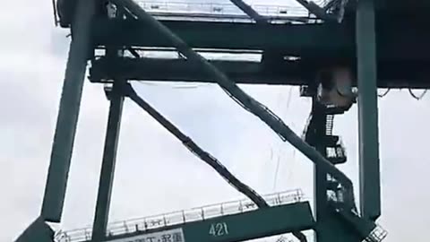 Falling crane viral