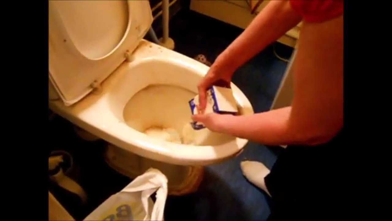 Milk Hands Toilet Project 10h. (2)
