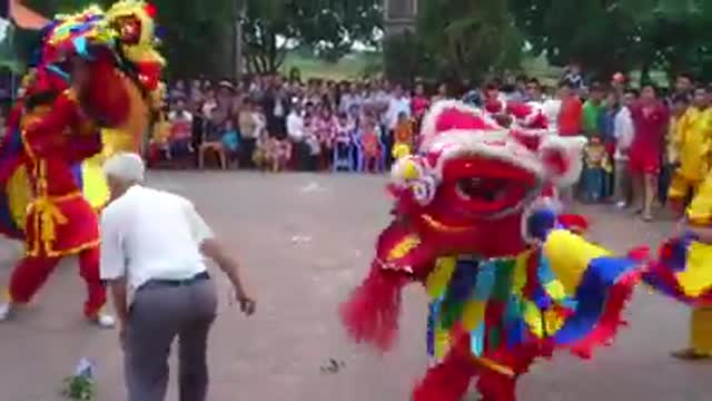 The most beautiful lion dance