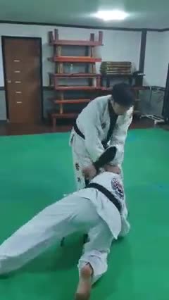 Hapkido