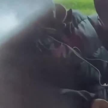 Irish men and women are pushed aside by gardai as buses full of foreign men