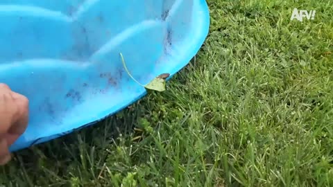 OOPS... We Did It Again! Best Fails Of The Week 🤣 🤣 Funny Videos | AFV 2023
