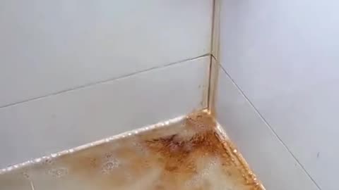 Great cleaning brush head😍🤫