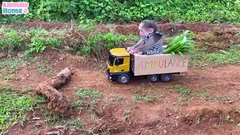 BiBi drives a grass truck to feed the goat