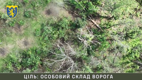 Dropping Grenades on Russians "Hiding" in a Forest Strip