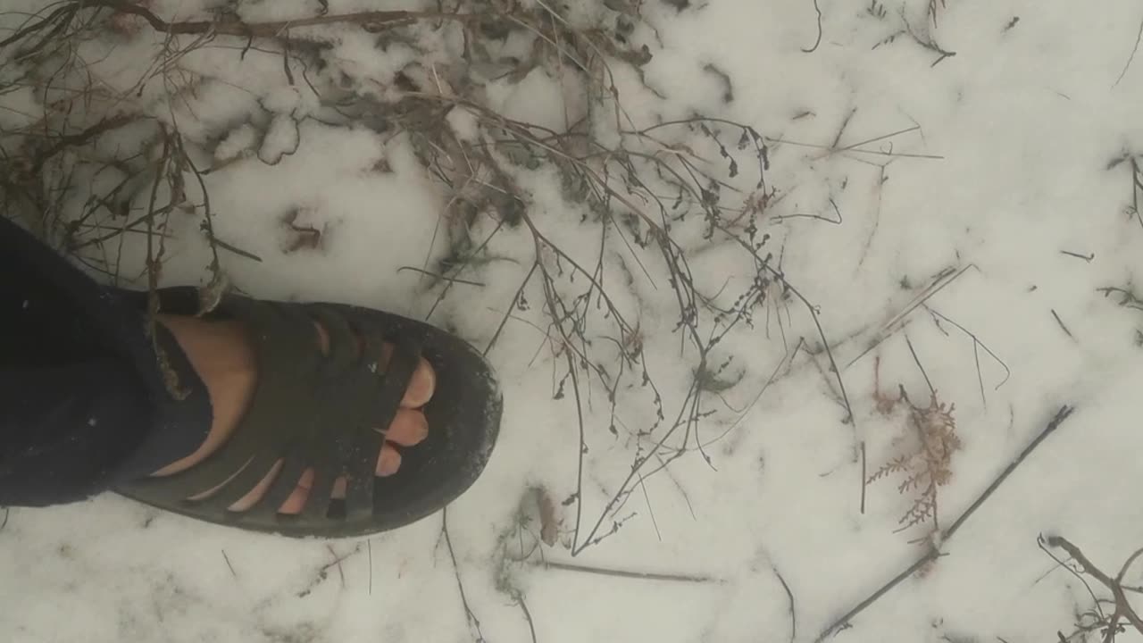 My all-weather slippers