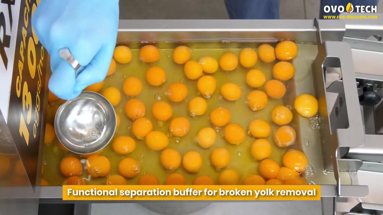 Egg breaker RX-2 with whites & yolks separation by OVO-TECH